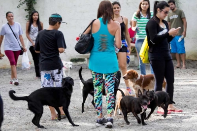 Dia de Cão-45
