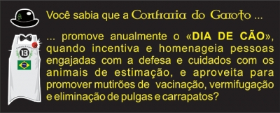 Você Sabia-28