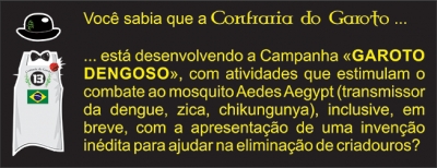Você Sabia-29