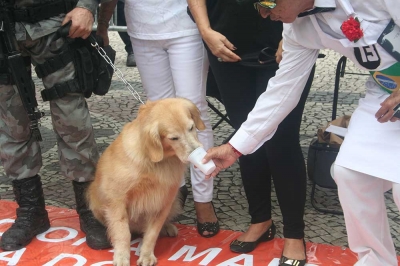 Dia do Vampiro 2015-7