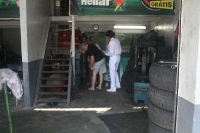 Arborização Três Rios-121