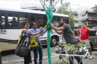 Arborização Três Rios-19