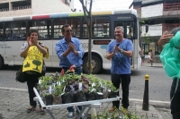 Arborização Três Rios-27