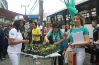 Arborização Três Rios-50