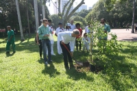 Campo de Santanna Jan 2016-7