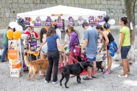 Dia de Cão-15