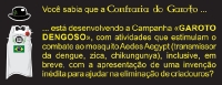 Você Sabia-29